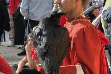 associazione Volo Silenzioso