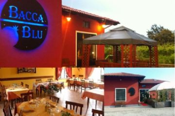 Succo di mele – Agriturismo Bacca Blu